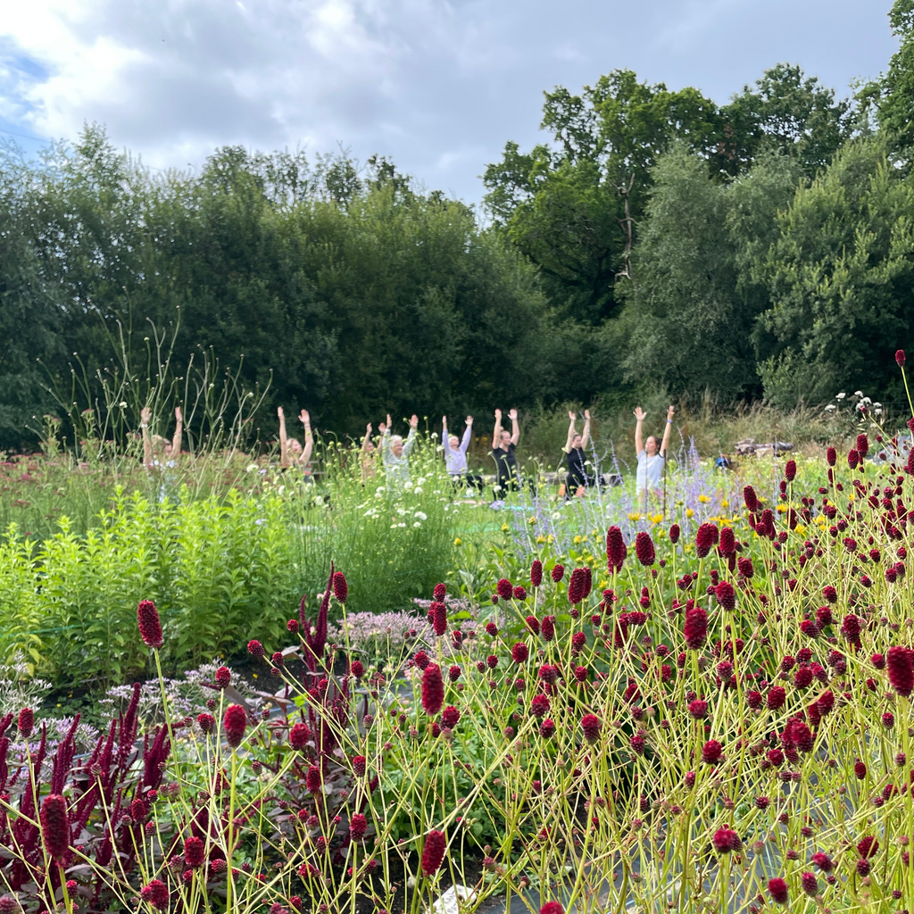 Flower Field Yoga